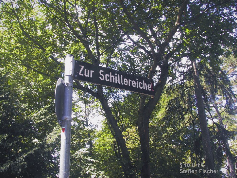 Aussichtspunkt Schillereiche